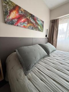 Departamento Recoleta V - 9