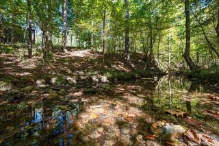 Secluded Creek Hot Tub Patio EV Charger - 3