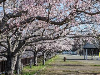 Okawaya - Vacation STAY 49372v - 7