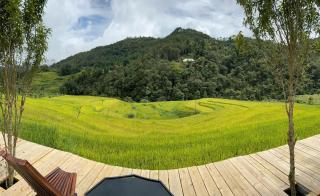Sapawine Homestay - 9