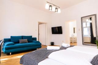 Comfortable 2BR Apartment Near Burggasse - 9