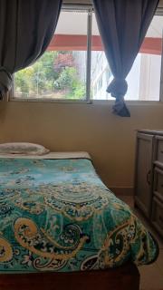 Hotel Aguila Real - 5
