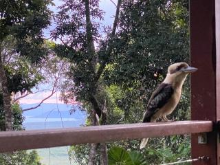 Daintree Private Escape - 9