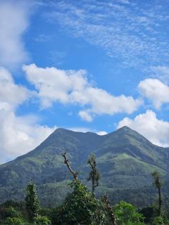 Misty Hill Land - 1