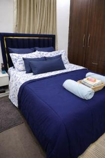 Luxury Executive Stay Near Ikeja & the Airport - 2