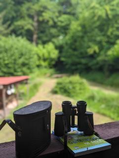 Ferienhaus mit Sauna und Heimkino in der Pfalz - 5