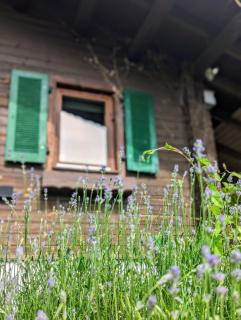 Ferienhaus mit Sauna und Heimkino in der Pfalz - 3