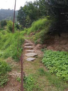 Nature Homestay in Chamba, Uttarakhand - 7