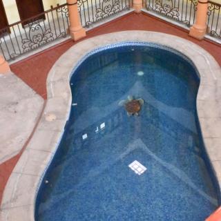 Hotel del Aeropuerto de Cuernavaca - 3