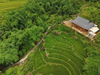 Hmong Mountain Homestay Sa Pa - 7