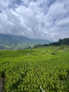 Hmong Mountain Homestay Sa Pa - 6