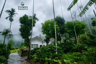 Eloria Banasura resort - 4