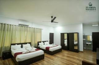 Eloria Banasura resort - 2