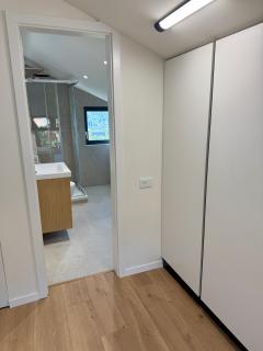 Hasdeu elegant apartment with pool - 3
