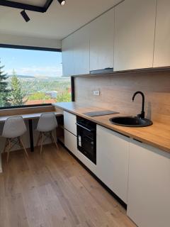 Hasdeu elegant apartment with pool - 4