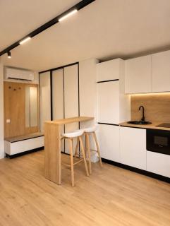 Hasdeu elegant apartment with pool - 7