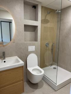 Hasdeu elegant apartment with pool - 6