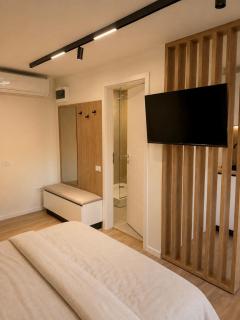 Hasdeu elegant apartment with pool - 8