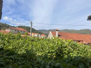 Casa João Fidalgo - 5