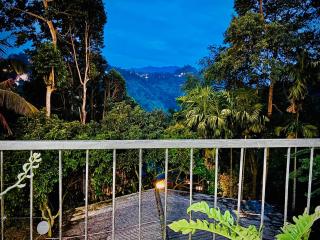 Sunburst view - 4