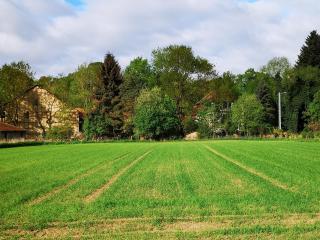 Ferienwohnung Mühlradblick - 9