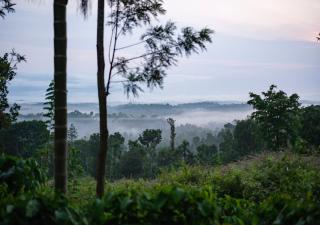 Private 2BHK-AC Estate stay with sunrise view -  - 1