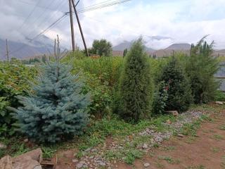 Tulpar Guest House - 7