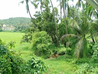 Eva Rooms Ashvem Beach Goa - 1