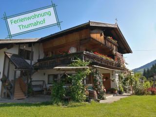 Ferienwohnung Thumahof - Auffach - 0