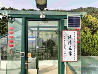 YinChensixiang - 2