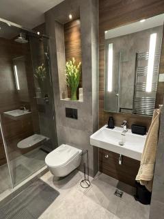 Apartmani Selić Zlatibor - 5