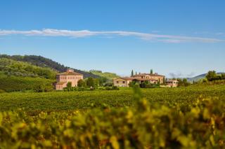 Tenuta Santavenere - 9