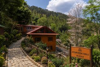 Repa Retreat - 1
