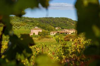 Tenuta Santavenere - 2
