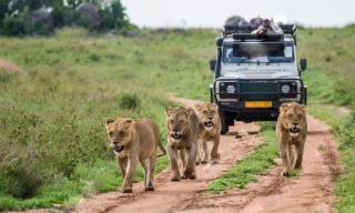 DREAMS REHOBOTH TOUR AND TRAVEL Ug - 2