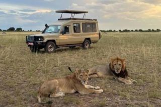 DREAMS REHOBOTH TOUR AND TRAVEL Ug - 1