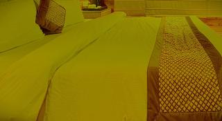 Hotel Rousha Inn Ghaziabad - 3