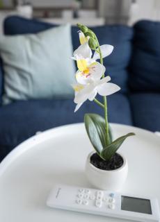 Uranus Cozy Studio Apartment - 5