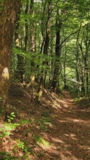 De rêves en chemins - 8