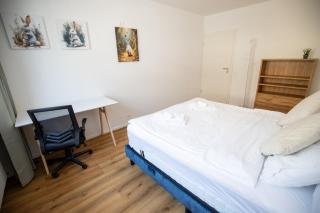 Bright Newly Renovated Apartment with Balcony - Special WHITE RABBIT 21 Apartment, Basel, up to 6 guests - 5