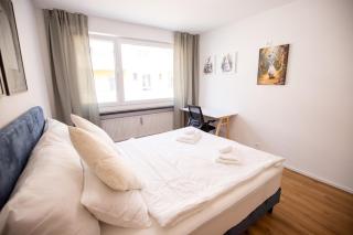 Bright Newly Renovated Apartment with Balcony - Special WHITE RABBIT 21 Apartment, Basel, up to 6 guests - 3