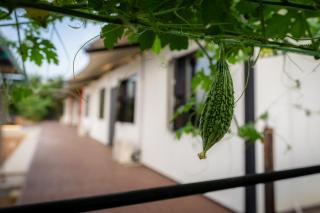 Spacious 5BR Canopy Home with Farm - 5
