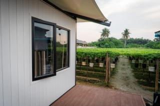 Spacious 5BR Canopy Home with Farm - 4