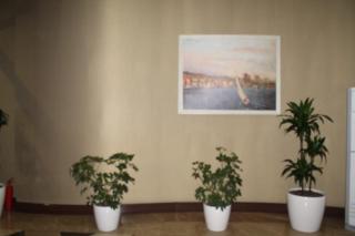 HILTON Residence of LUXURY 5 STARS Apartment and F1 & Sea view - 3