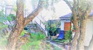 Au Jardin Des Couleurs - Pierrefeu-du-Var - 8