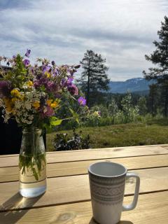 Flott og moderne fjellhytte - 3
