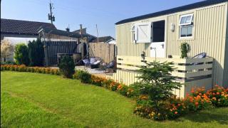 Whitethorn Shepherds Hut - 6