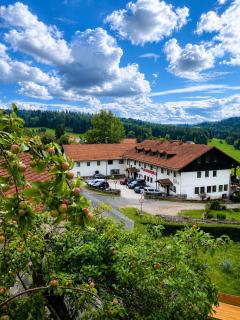 Burggasthof Weißenstein - Regen - 0