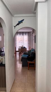 El Tiburon Apartamento Torrevieja - 5
