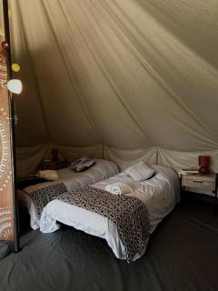 Tente lodge - 0